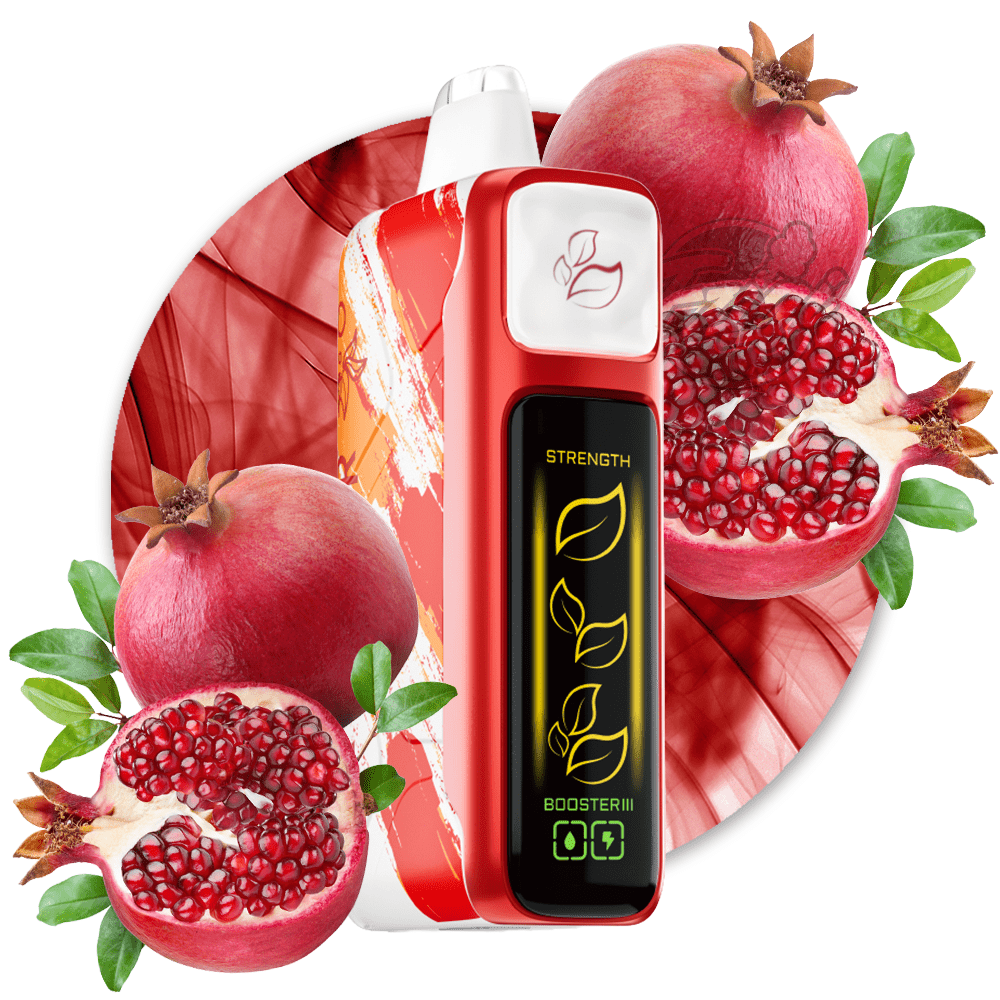 Elf Bar NIC KING Pomegranate Burst