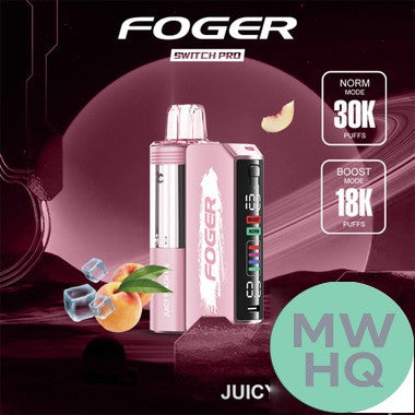 Foger Switch Pro Kit 30K Puffs 19ML Disposable Device & Power Bank