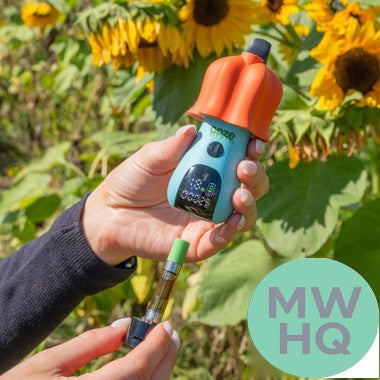 Ooze Shroom Character 650mAh Dual 510 Cartridge Device Battery With Digital Screen