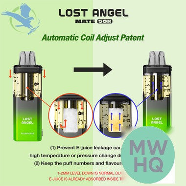 Lost Angel Mate 50K Puffs 20ML 3D Curved Screen Disposable Device & Power Bank Kit