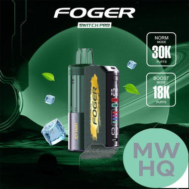 Foger Switch Pro Kit 30K Puffs 19ML Disposable Device & Power Bank