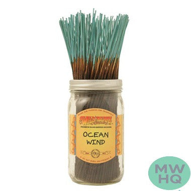 Wild Berry Incense Sticks - 11 Inches - Pack of 100 - SET 1